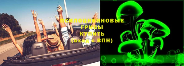мдпв Михайлов