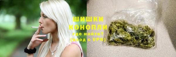 мдпв Михайлов