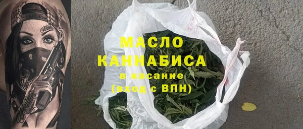 мдпв Михайлов