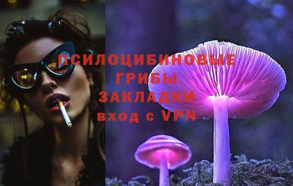 мдпв Михайлов