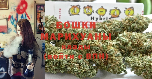 гидра Строитель