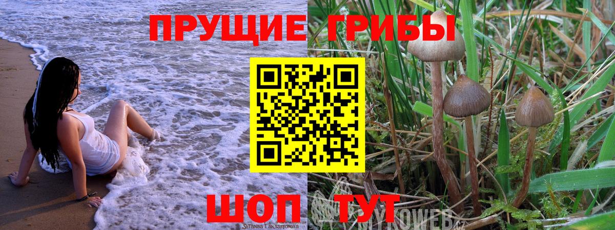 Псилоцибиновые грибы Magic Shrooms Магнитогорск